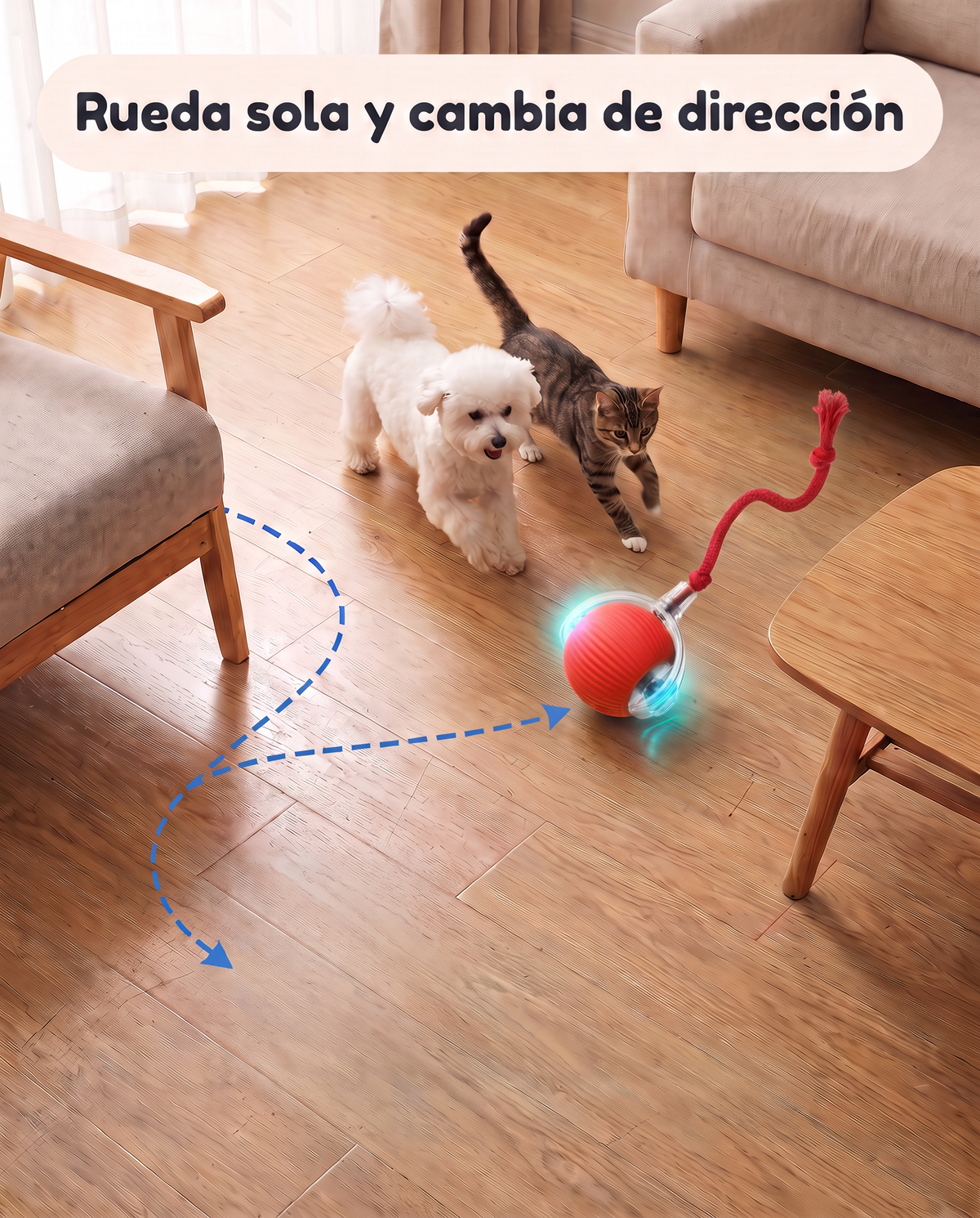 Un perro y un gato persiguen la pelota Naala mientras cambia de dirección